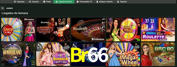 Br66 bet