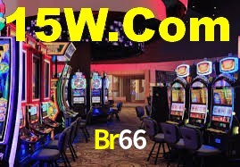 Premium Interface Br66
