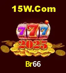 Experiência VIP Br66